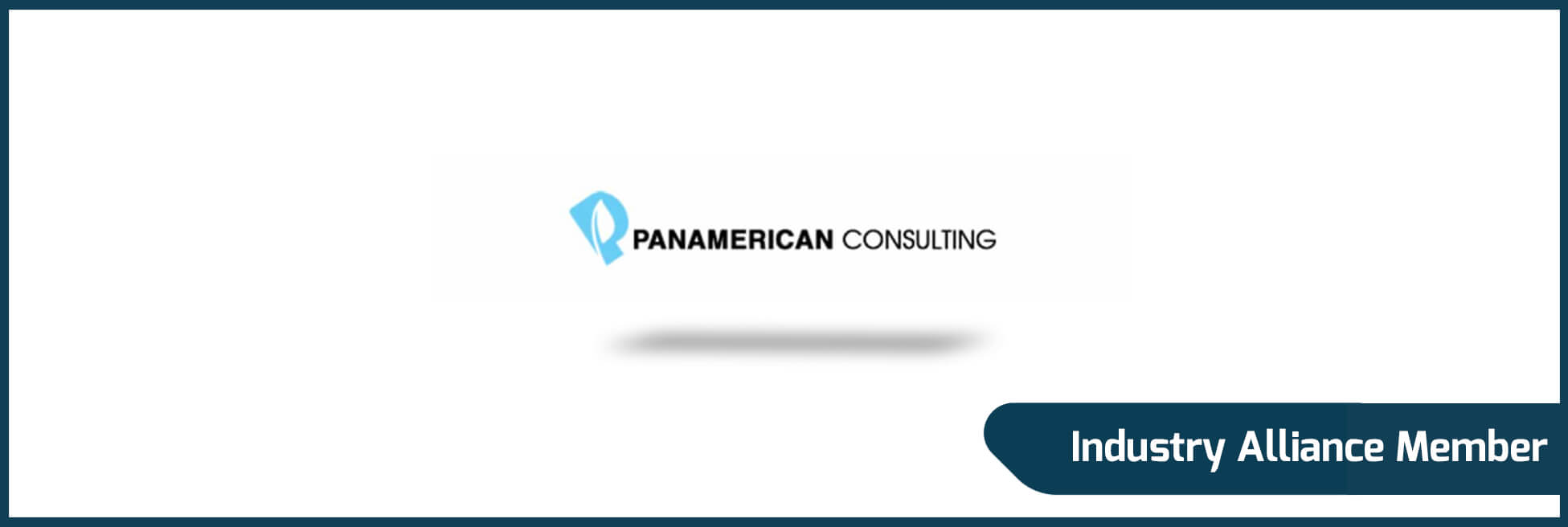 Panamerican Consulting